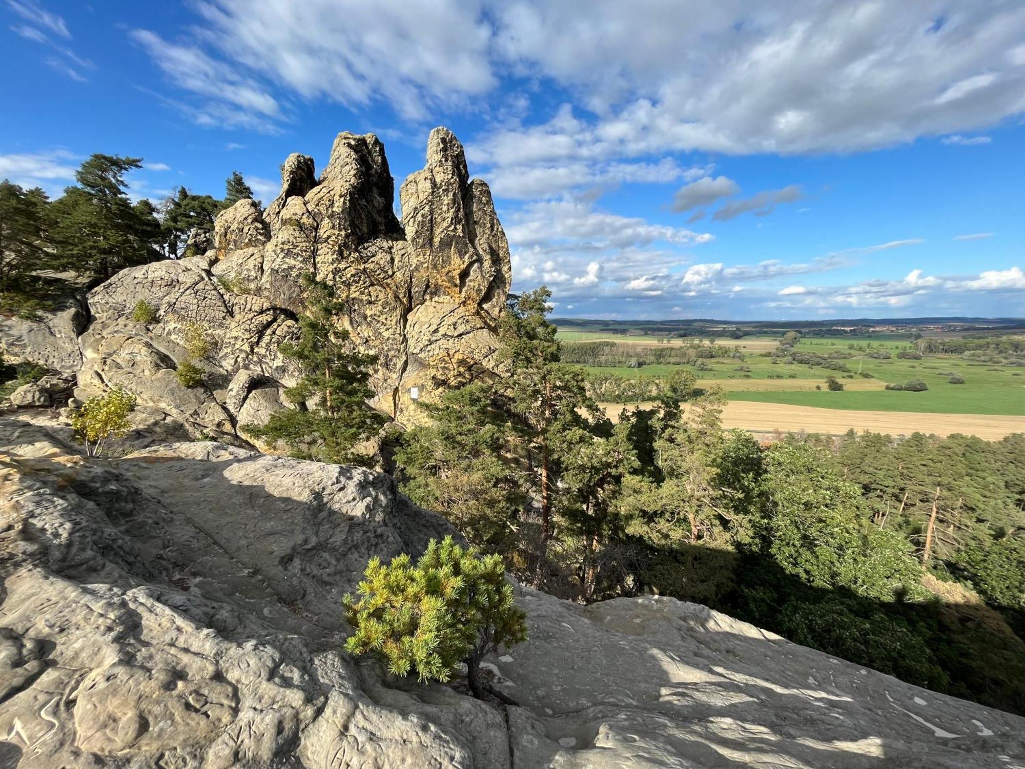 Ferienwohnung-Bergblick Bad Harzburg Exteriér fotografie